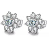 Monvierre Collection