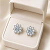 Boucles d'Oreilles Femme Éclosia
