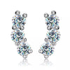 Monvierre Collection