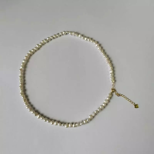 Monvierre Collection