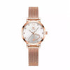 Monvierre Collection